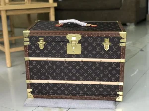 Best Cute pet attack Louis Vuitton