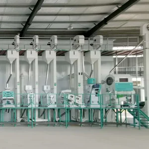 Equipo Avanzado de Procesamiento Continuo de Arroz para Alta Eficiencia