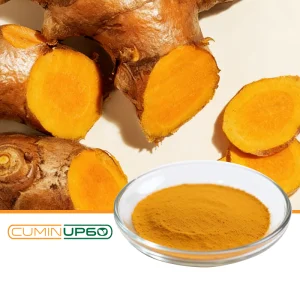 Food Grade Water Soluble CuminUP60 Turmeric Extract 178X High Bioavailability for Health Food &amp; Powder Beverages
