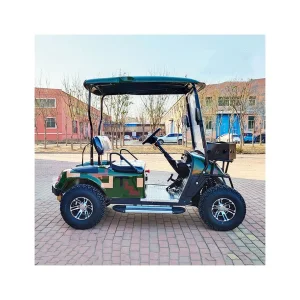 New Design Two-Seater Mini Passenger Golf Cart with Sunshade 70-90km Range CE Certified