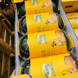 The New Low Gi Freshly Picked Baby Pumpkin for Animal Nutrition