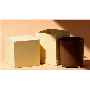 Caja plegable ecológica