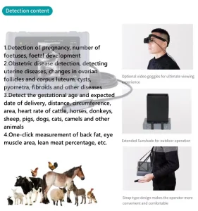 Palm Full-Digital Veterinary Ultrasound System