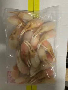 Canadian Snow Crab Claw