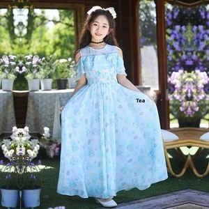 Floral Print Summer Chiffon Dress