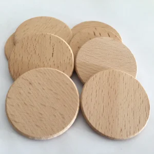 Custom Beech Wood DIY Craft Kit with Chips Wooden Slices