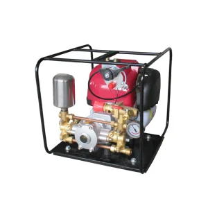 Portable Gasoline Garden Sprayer