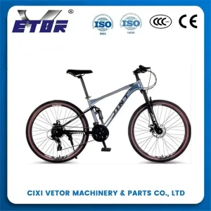 China EXPL100 24-inch aluminum bike