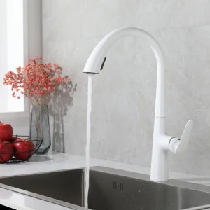 Stainless Steel Kitchen Faucet