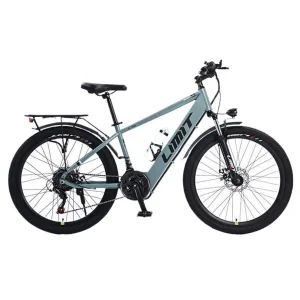 Bicicleta eléctrica