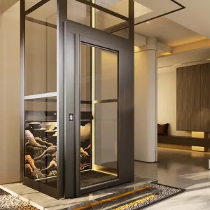 Quality Screw-Driven Home Lift Private House Screw Column Elevator