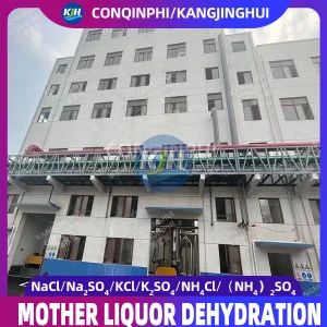 Cutting-Edge Mother Liquor Concentration System with Advanced Technology