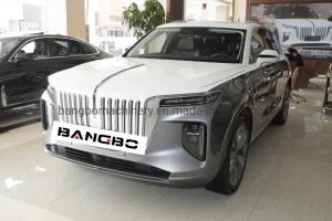 Utility Electrical Hongqi E-HS9 Genuine Leather Secondhand Vehicle