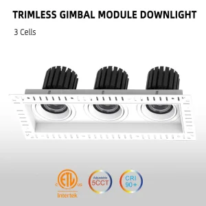 Modular Downlight