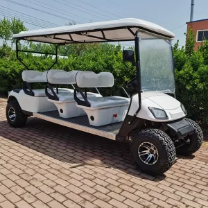 6 Seat Lithium Cart