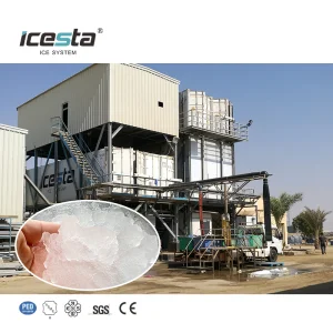 Automatic Ice Plant