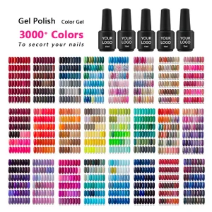 1kg Gel Polish Factory Gel Nail Producer Uv Color Gel Nail Polish Kg Manufacturer