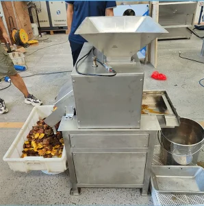 Automatic Large Capacity Electric Orange Juicer /Passion Fruit Pulp Extractor