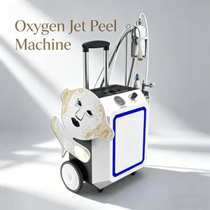 Non-invasive 3 in 1 Skin Rejuvenation Machine With PDT LED Mask Professional Oxygen Sprayer Facial Machine Factory Direct