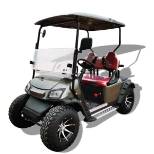 2025 Custom Design Parison 2 Seater