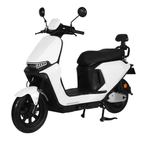Motor Electric Bike Couble Person Folding Electric Scooter 48V Wide-Wheel Commuter Bike