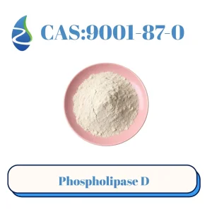 مكملات غذائية تحتوي على إنزيم فوسفوليباز د CAS 9001-87-0 لإنتاج PS