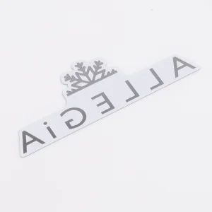 Premium Stainless Steel Logo for Custom Branding Solutions and Identification