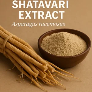 Shatavari Extract