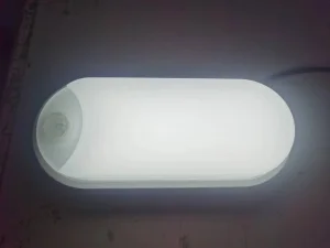 12watt Oval White LED Outdoor Ceiling Lamp with Motion Sensor