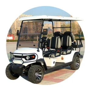 Electric Golf Cart with Rear Seat