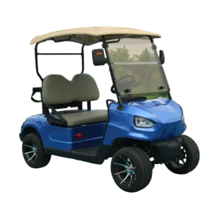 JG Mini Luxury Cheap 2 Passenger Antique Electric Classic Golf Cart