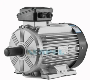 CE Certification WE4 Series High-Performance low voltage Asynchronous Motor
