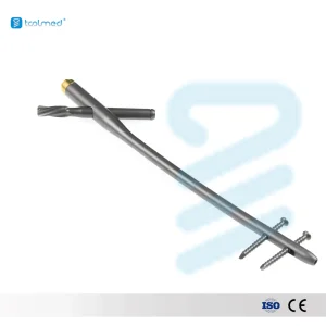 Intramedullary Nails