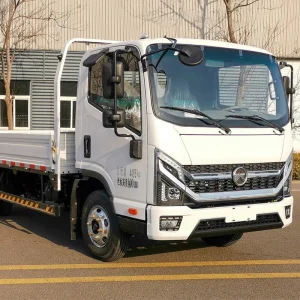 Electric Cargo Truck