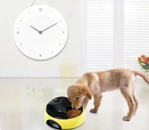 Digital Feeder