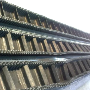 Skirt Side Wall Conveyor Belt