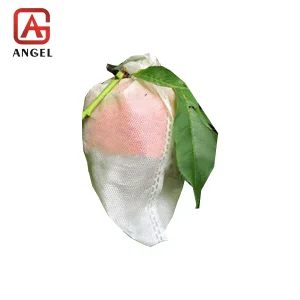 Biodegradable Mesh Bags