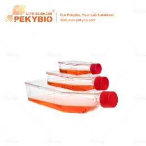 T75 Cell Culture Flask for Enhanced Cell Cultivation