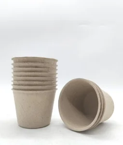Eco-Friendly Recyclable Biodegradable Paper Cups and Boxes Set for Hot/Cold Drinks and Takeout Food Packaging