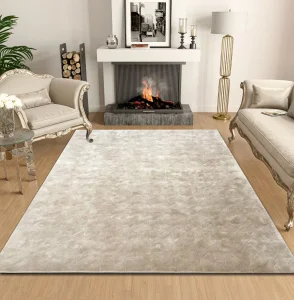 Modern Living Room Carpet