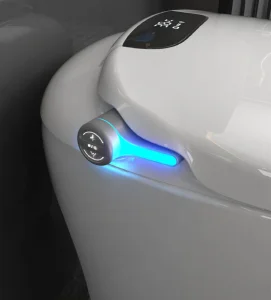 Smart Toilet