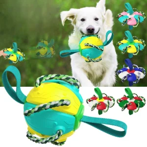 Pet Supplies Outdoor Frisbee Interactive Soccer Training Dog Toys