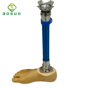 Prosthetic Components