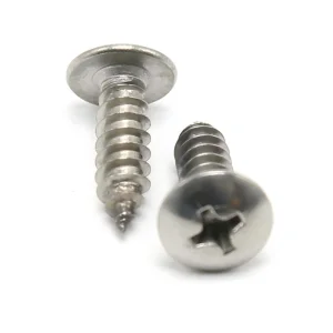 China Manufacturer Stainless Steel Truss Head Cross Recessed Self Tapping Screw