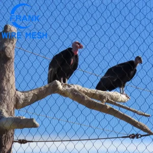 Rede de Aves de Cerca de Arame de Aço Inoxidável Trançado de Alta Qualidade da Fábrica