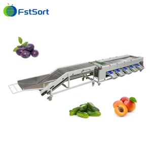 Máquina de clasificación de verduras Fstsort, clasificador de pepinillos, máquina de procesamiento de pepinillos, planta de procesamiento de verduras, equipo de procesamiento de verduras, máquina de clasificación y graduación
