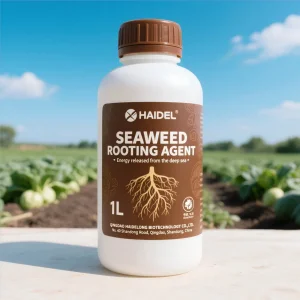 Liquid Seaweed Extract Organic Root