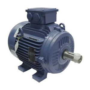 Weg Induction Motor