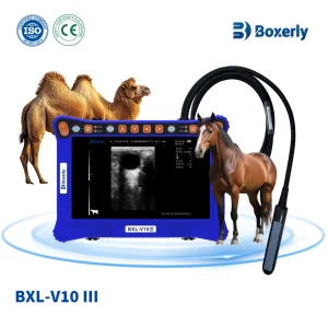 Bxl-V10 III Ganado Máquina de Ultrasonido Veterinario Portátil con HD Multi Sonda