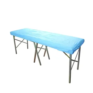 Waterproof Elasticated Disposable Use CPE Bedcover Hospital/Clinic Use Non-Irritating Plastic Bedcover